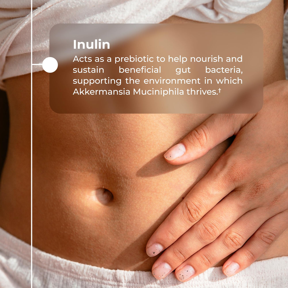 Neurogan Akkermansia Muciniphila Postbiotique, boîte ouverte avec capsules