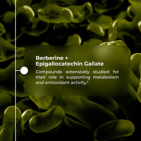Neurogan Akkermansia Muciniphila Postbiotique, capsules dans un verre