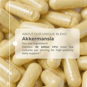 Neurogan Akkermansia Muciniphila Postbiotique, ingrédients sur l'emballage