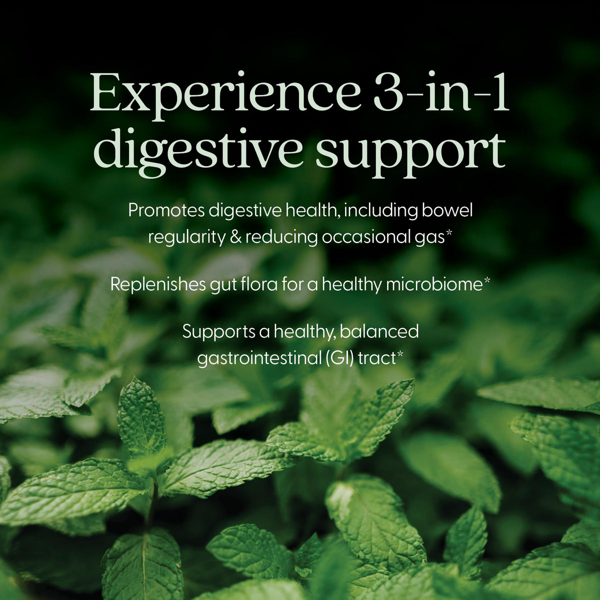 New Chapter All-Flora Complément Alimentaire 30 Capsules ingrédients