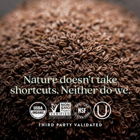 New Chapter Complément Alimentaire Multi-Fibres - mise en scène avec des herbes