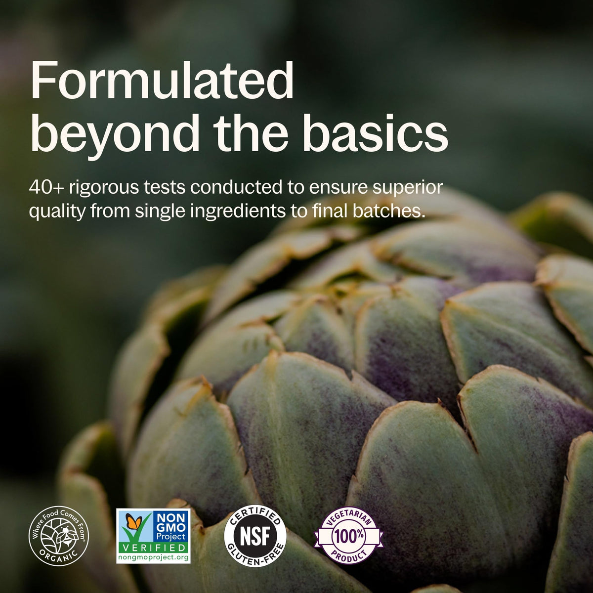 New Chapter Every Man's One Daily 55+ Multivitamin - composition de légumes biologiques