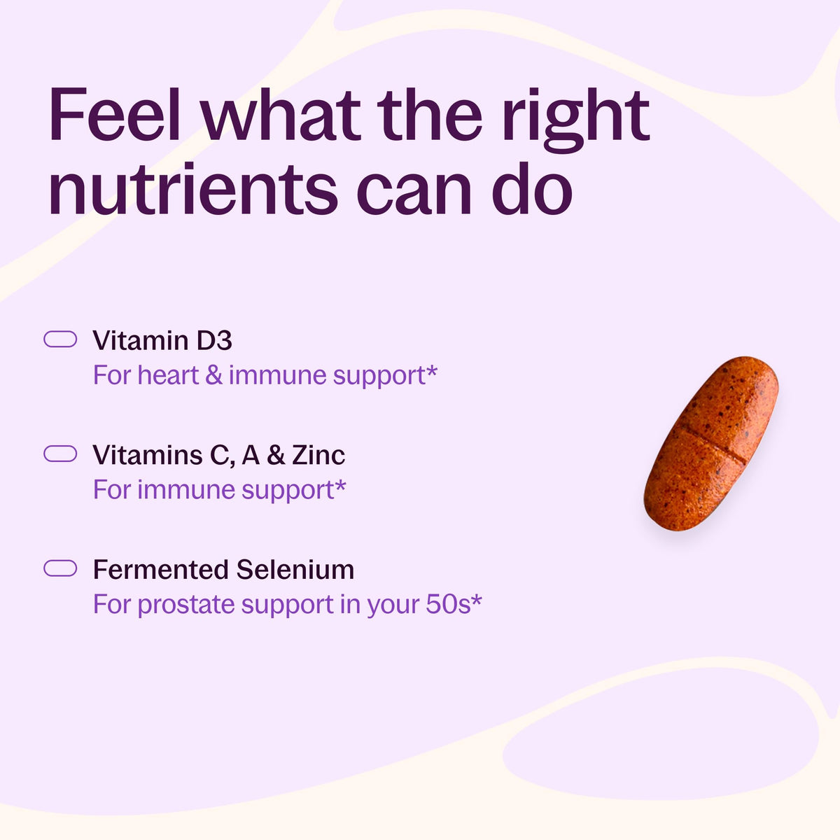 New Chapter Every Man's One Daily 55+ Multivitamin - comprimés à l'intérieur du flacon