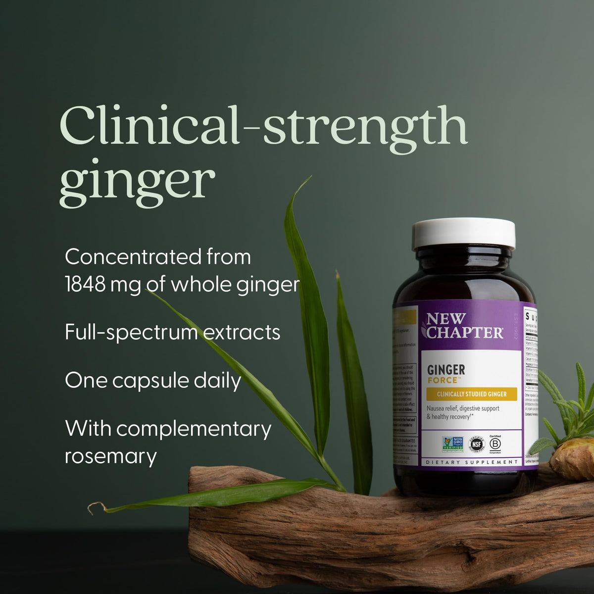 New Chapter Ginger Force boîte avec capsules visibles