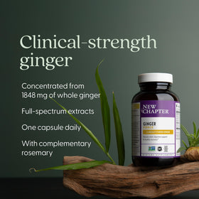 New Chapter Ginger Force boîte avec capsules visibles