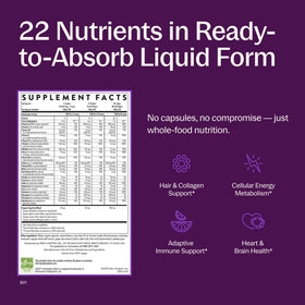 New Chapter Multivitamine Liquide 30 oz dans un cadre de vie quotidien
