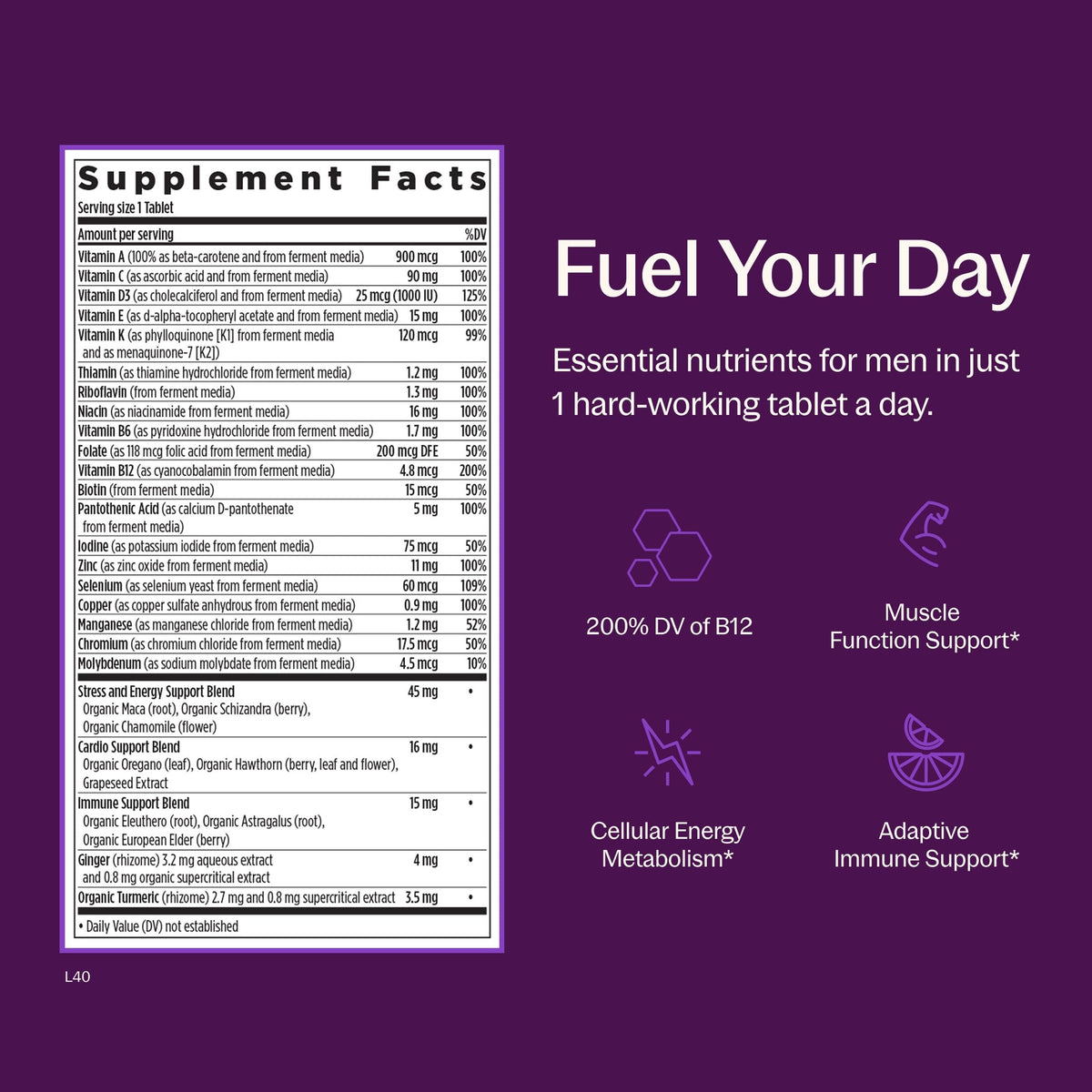 New Chapter Multivitamines Quotidiennes pour Hommes - Comprimés sur un fond neutre