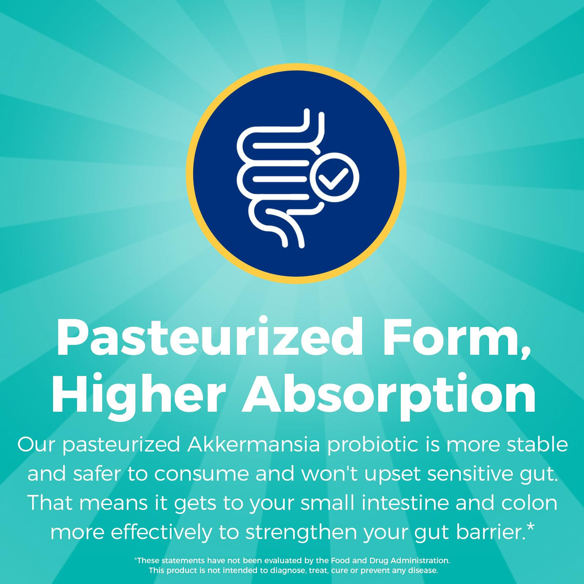 NewRhythm Probiotique Akkermansia Muciniphila en milieu de vie