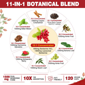 Nextdia Berbérine HCL capsules, vue arrière du flacon