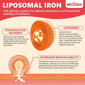 Nextdia Fer Bisglycinate 65mg gélules taille comparée