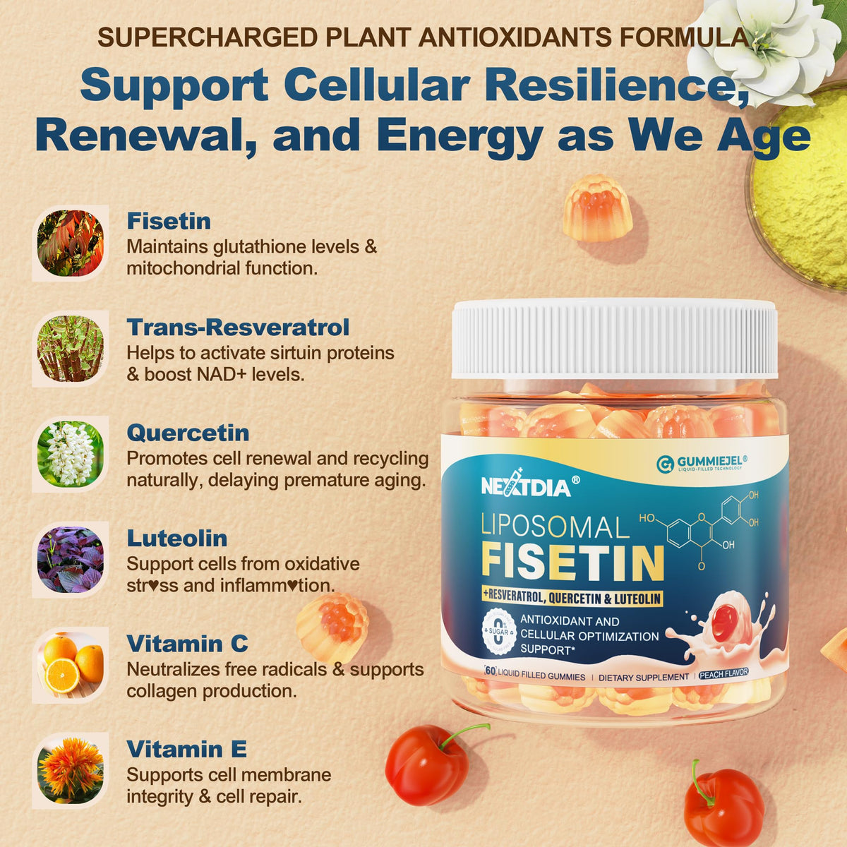 Nextdia Fisetin et Resveratrol, présentation des gommes