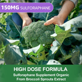 Nextdia Gommes au Sulforaphane 150mg avec pommes vertes
