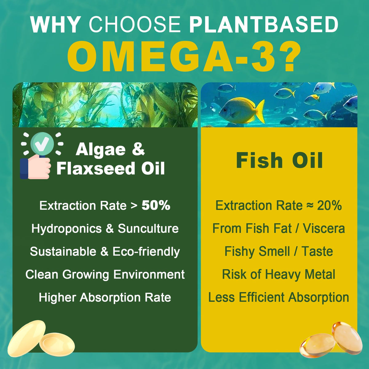 Nextdia Omega 3 Végétalien 1500mg gélules in hand