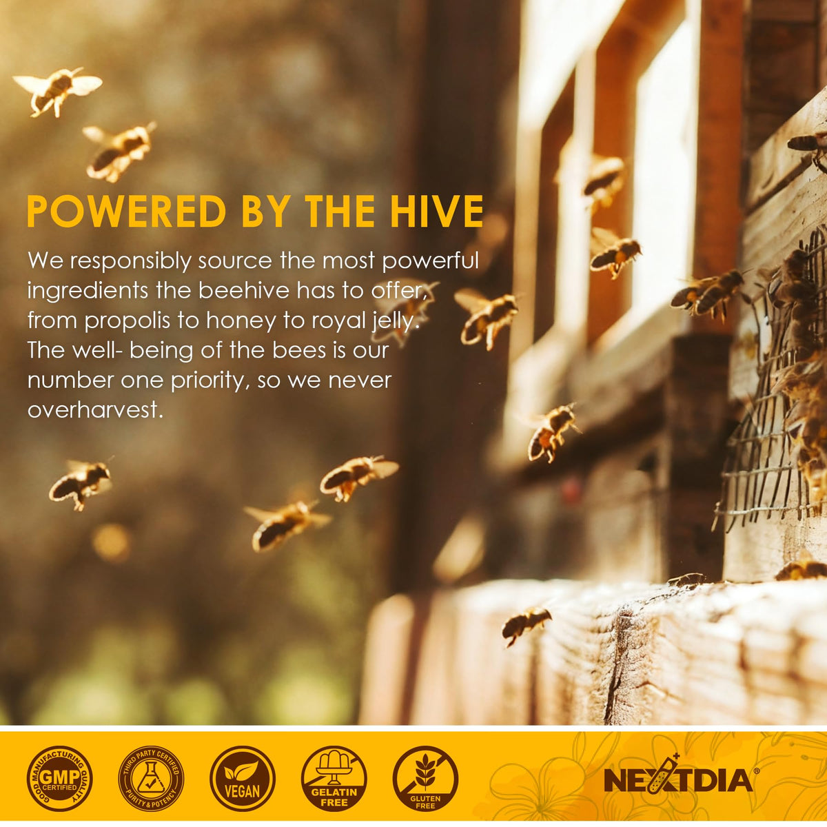 Nextdia Pollen d'Abeille Bio 1000mg – image de la boîte