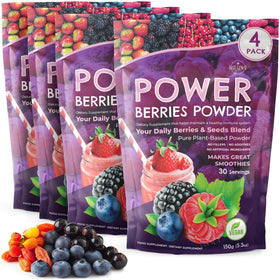 NGU Super Berry Powder 150g sachet avant