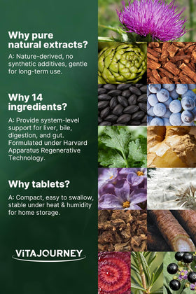 NHDH Chardon-Marie 14-in-1 comprimés avec des herbes naturelles