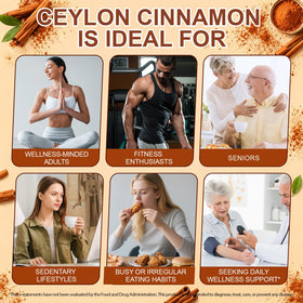 Ninsiec Cannelle de Ceylan 1800mg sur fond neutre
