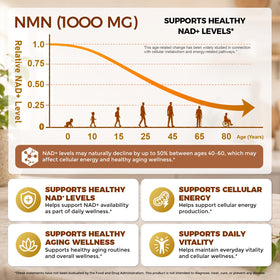 Ninsiec NMN 1000mg flacon ouvert avec capsules visibles