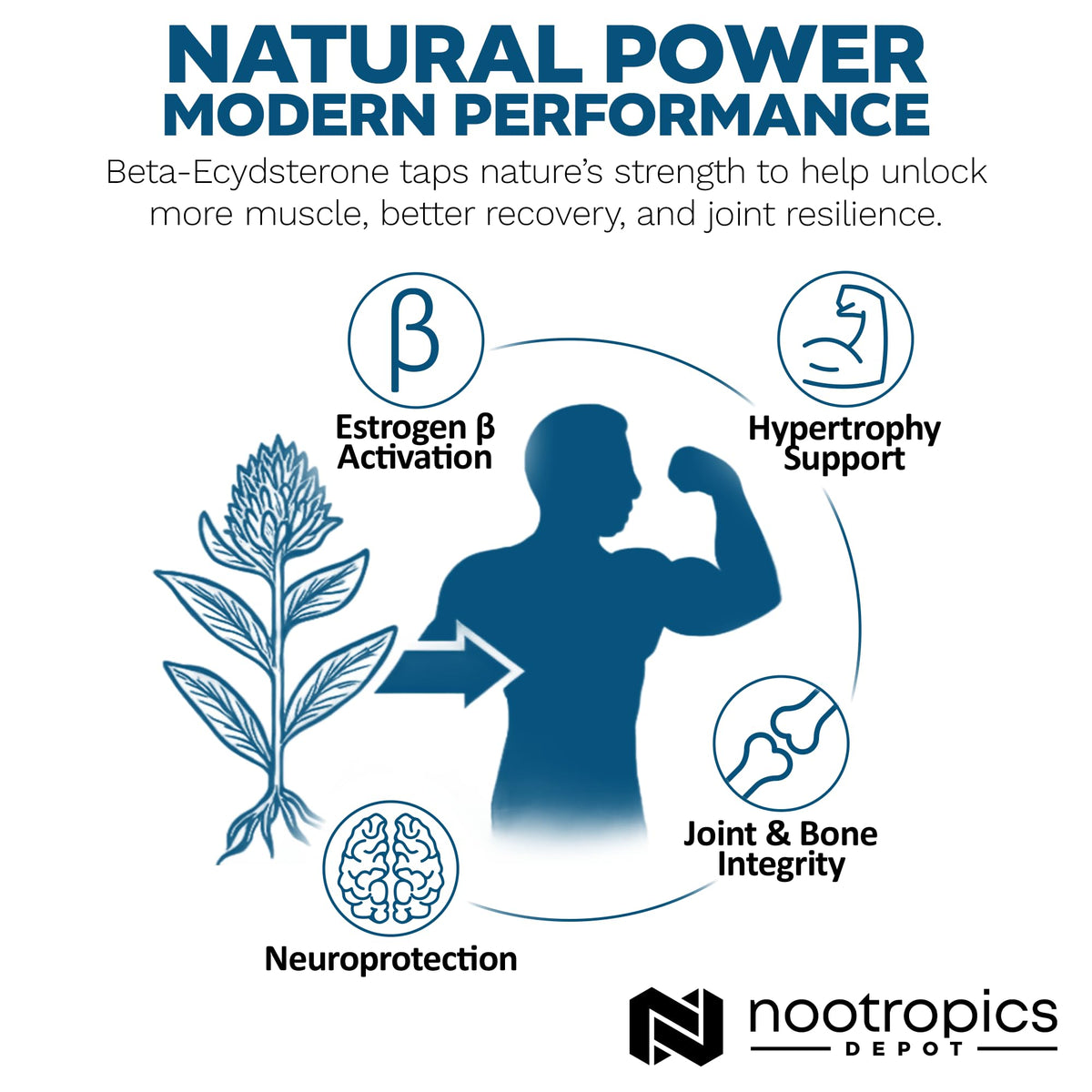 Nootropics Depot Beta Ecdysterone at the gym
