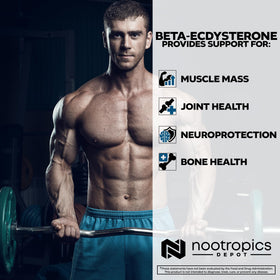 Nootropics Depot Beta Ecdysterone capsules in a measuring spoon