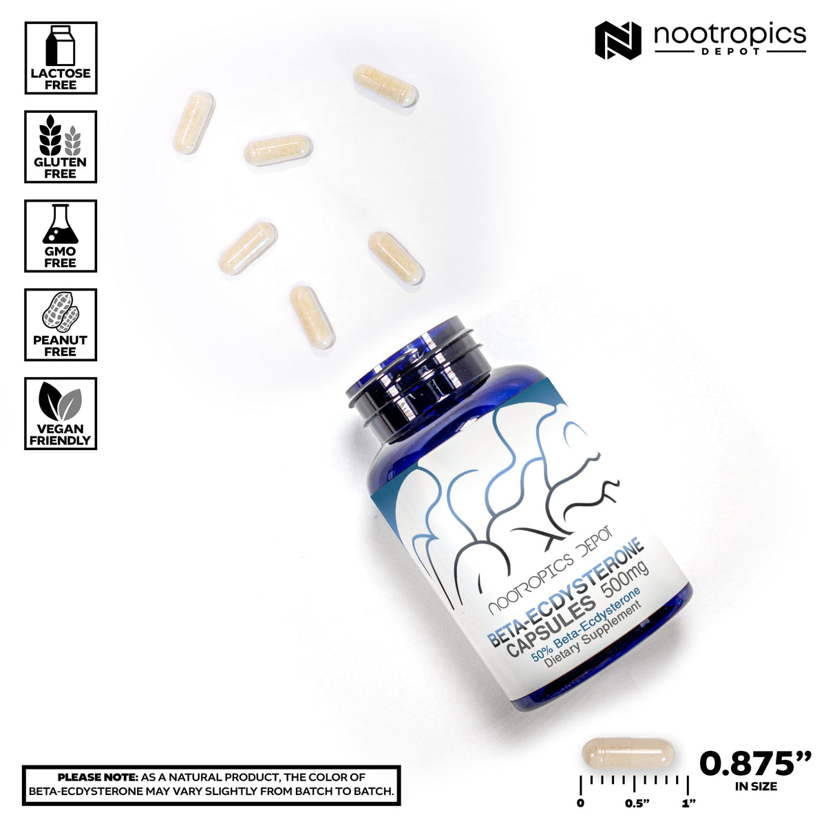 Nootropics Depot Beta Ecdysterone product label