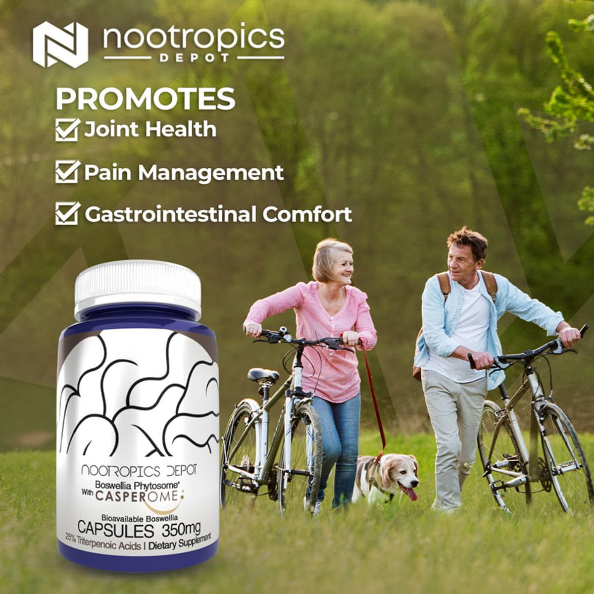 Nootropics Depot Boswellia Phytosome capsules with dosage information