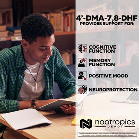 Nootropics Depot Capsules 4’-DMA-7,8-DHF 10mg ouvert
