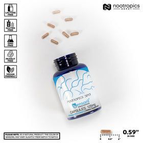 Nootropics Depot Capsules Ashwagandha Sensoril 125mg côté