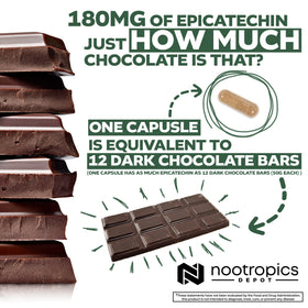 Nootropics Depot capsules d'épicatechine 200mg à côté d'un verre d'eau