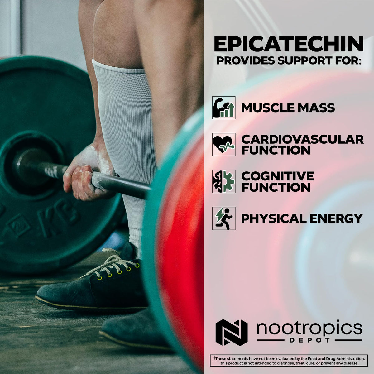 Nootropics Depot capsules d'épicatechine 200mg sur une table