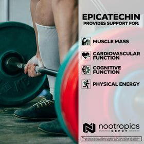 Nootropics Depot capsules d'épicatechine 200mg sur une table