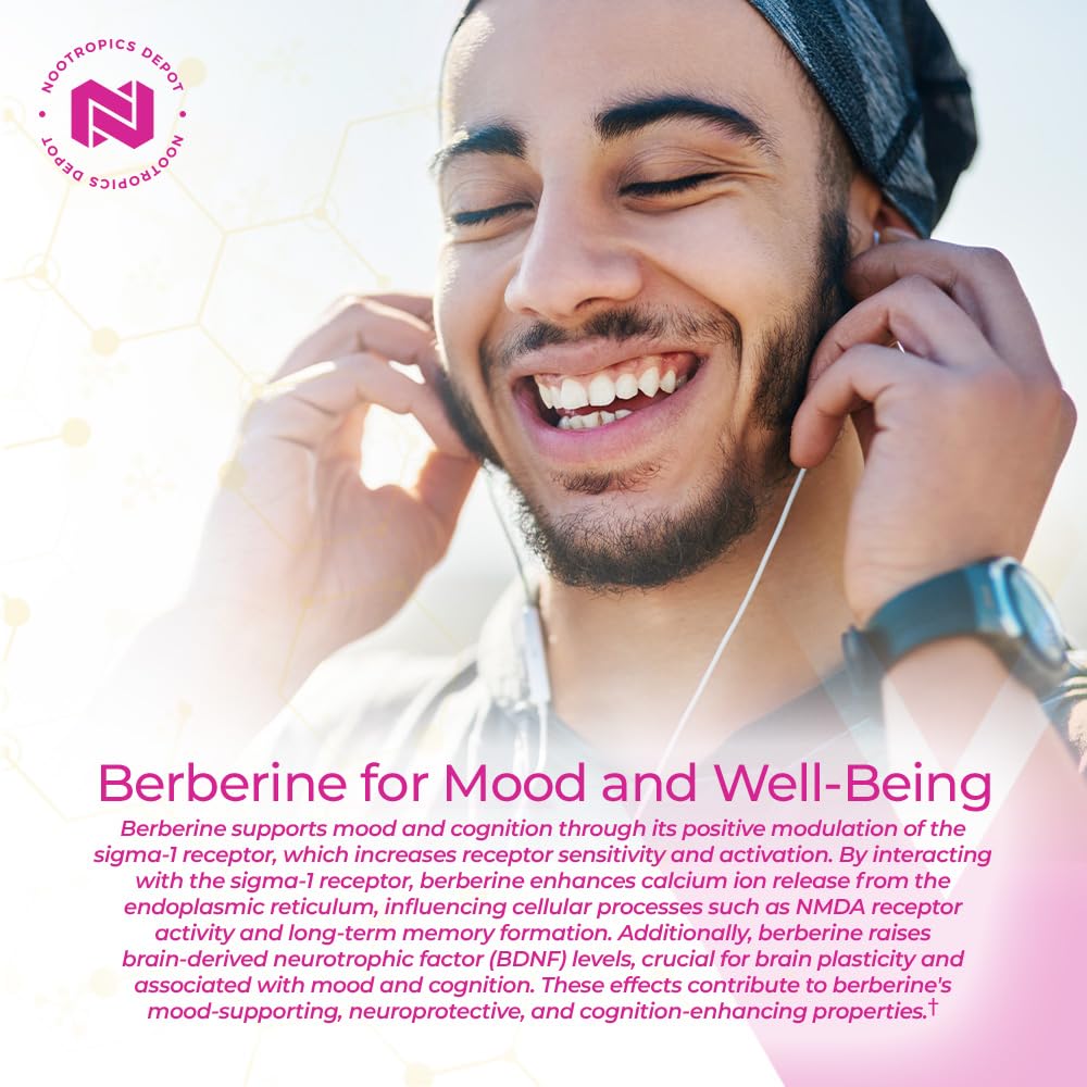 Nootropics Depot Capsules de Berbérine HCL et Silymarine étiquette détaillée