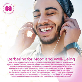Nootropics Depot Capsules de Berbérine HCL et Silymarine étiquette détaillée
