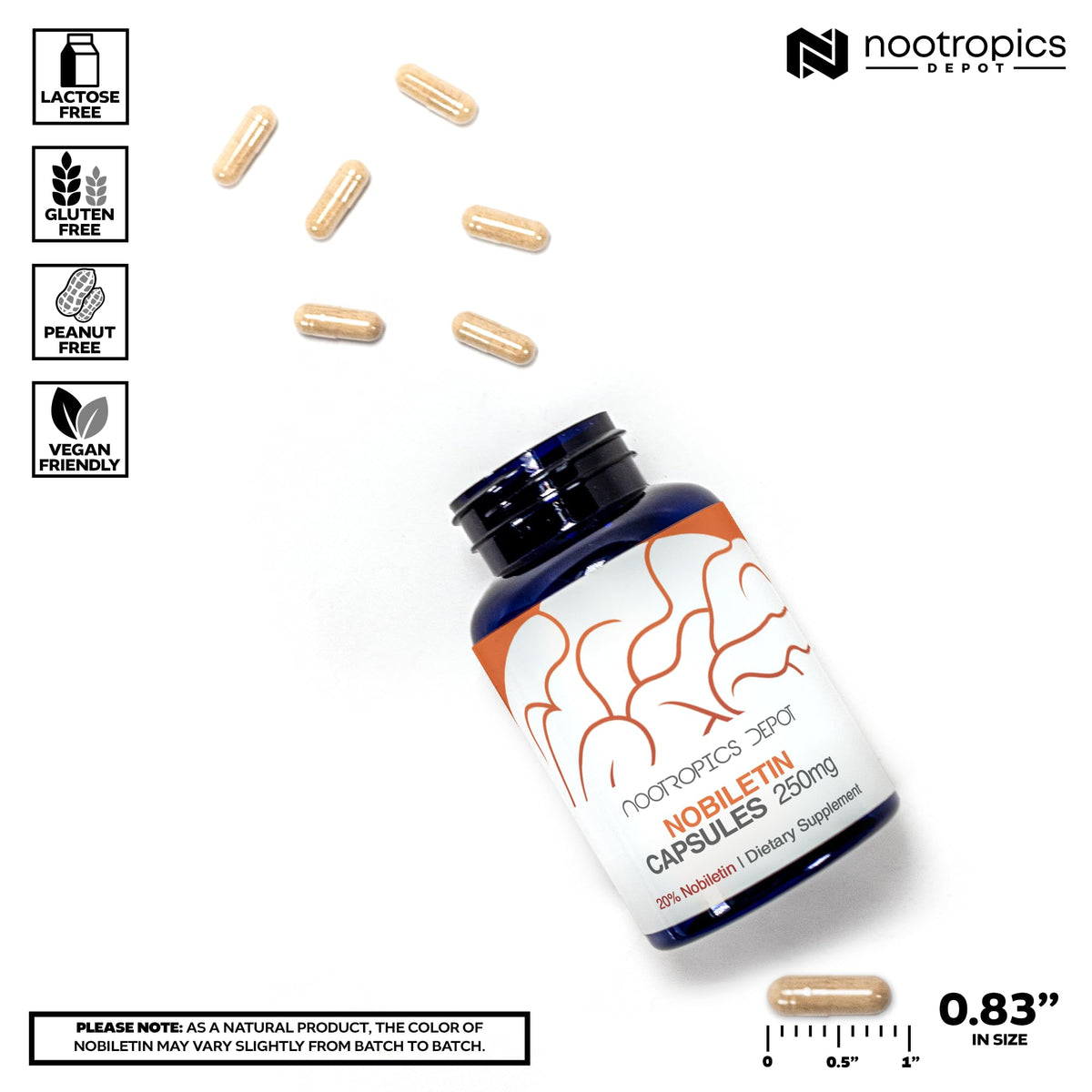 Nootropics Depot Capsules Nobiletin 250mg 30 Comptes contenant ouvert