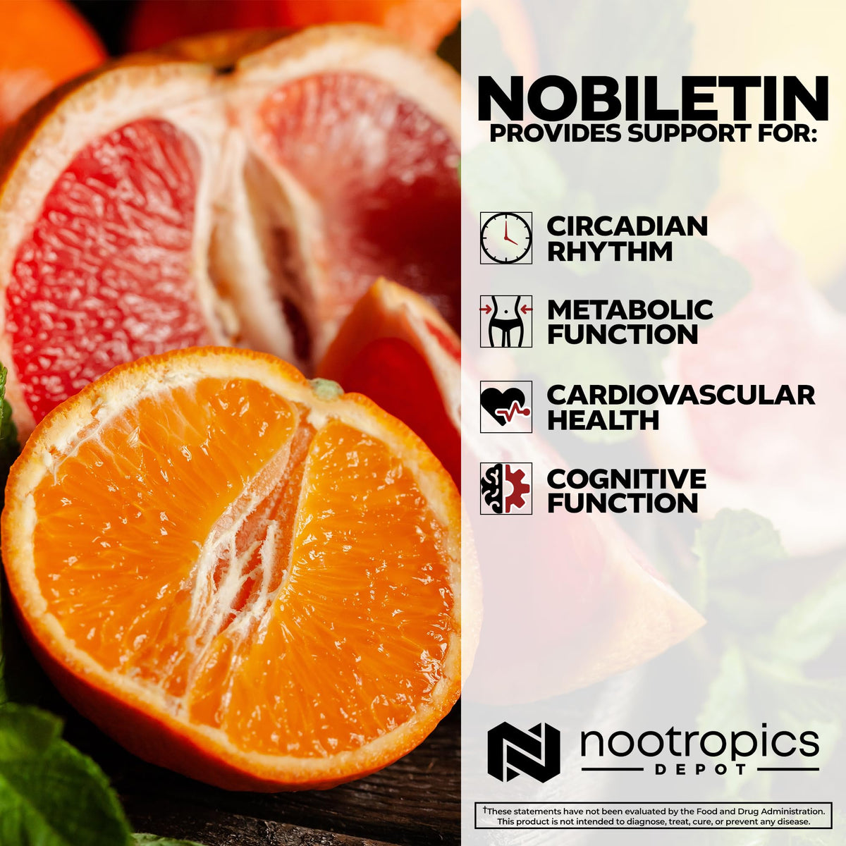 Nootropics Depot Capsules Nobiletin 250mg 30 Comptes sur une table