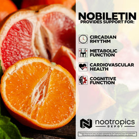 Nootropics Depot Capsules Nobiletin 250mg 30 Comptes sur une table