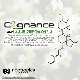 Nootropics Depot Cognance Bacopa Capsules avec étiquette