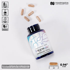 Nootropics Depot Erinamax Lion's Mane 500mg Capsules avec étiquette