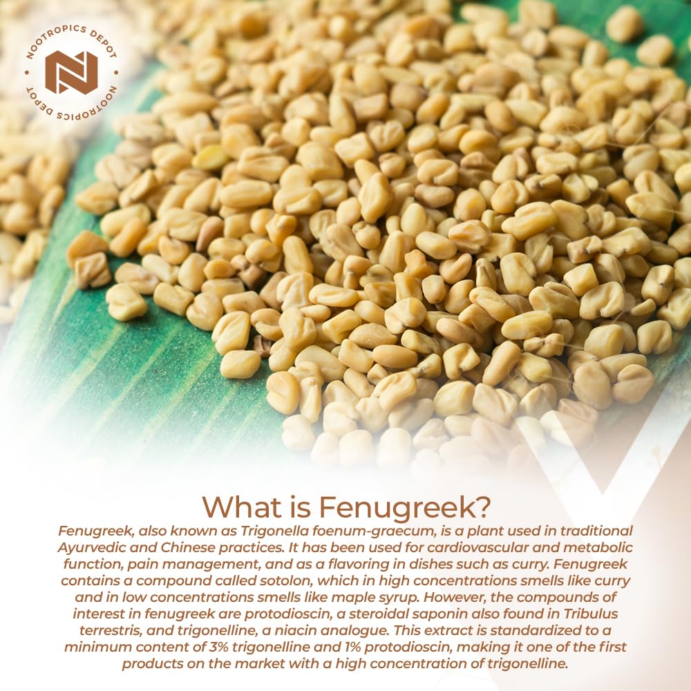 Nootropics Depot Extrait de Fenugrec Capsules 500mg dosage