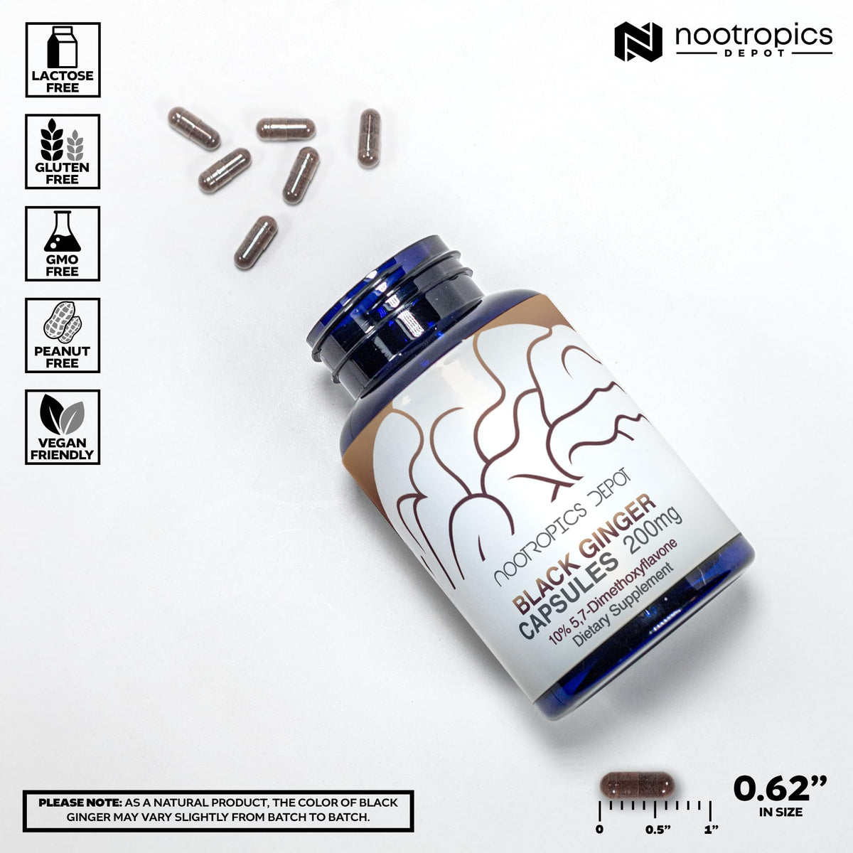 Nootropics Depot Extrait de Gingembre Noir 10% - capsules sur fond blanc