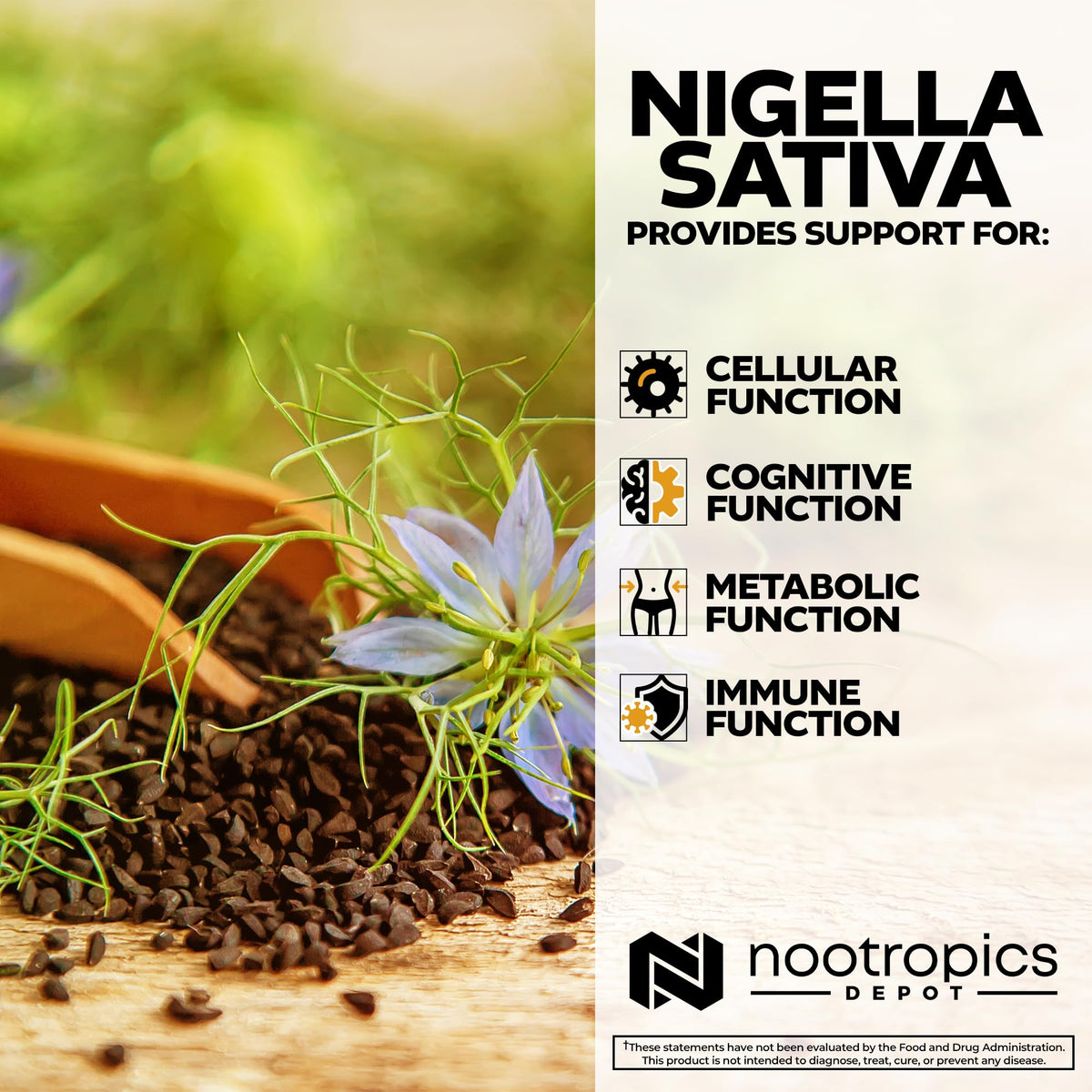 Nootropics Depot Extrait de Nigelle Sativa 200mg capsules sur une table