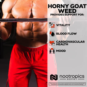 Nootropics Depot Horny Goat Weed Capsules 200mg sur un fond de table