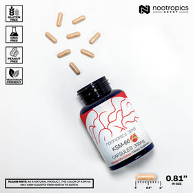 Nootropics Depot KSM-66 Ashwagandha 300mg capsules packaging