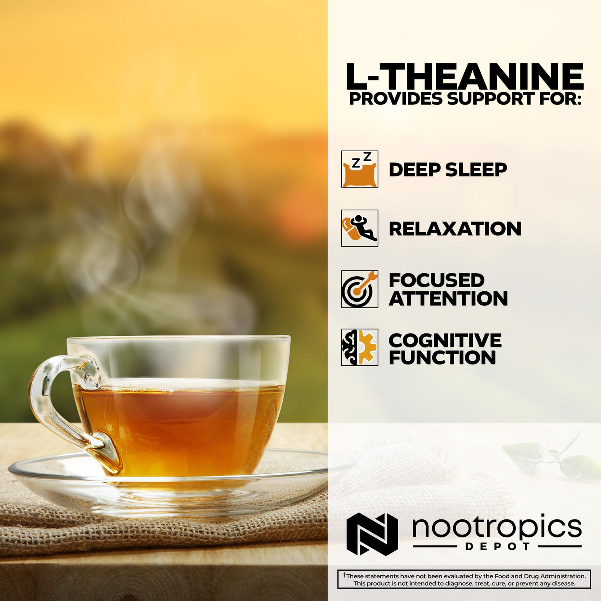 Nootropics Depot L-Théanine capsules in a lifestyle setting