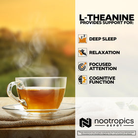 Nootropics Depot L-Théanine capsules in a lifestyle setting