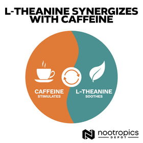 Nootropics Depot L-Théanine capsules showing tamper-evident seal