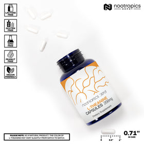 Nootropics Depot L-Théanine capsules with label details