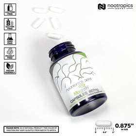 Nootropics Depot Magtein bouteille de 90 capsules