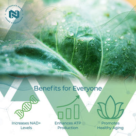 Nootropics Depot NADH + Chlorella Vulgaris 400mg capsules side view