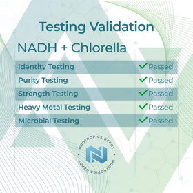 Nootropics Depot NADH + Chlorella Vulgaris capsules with a glass of water